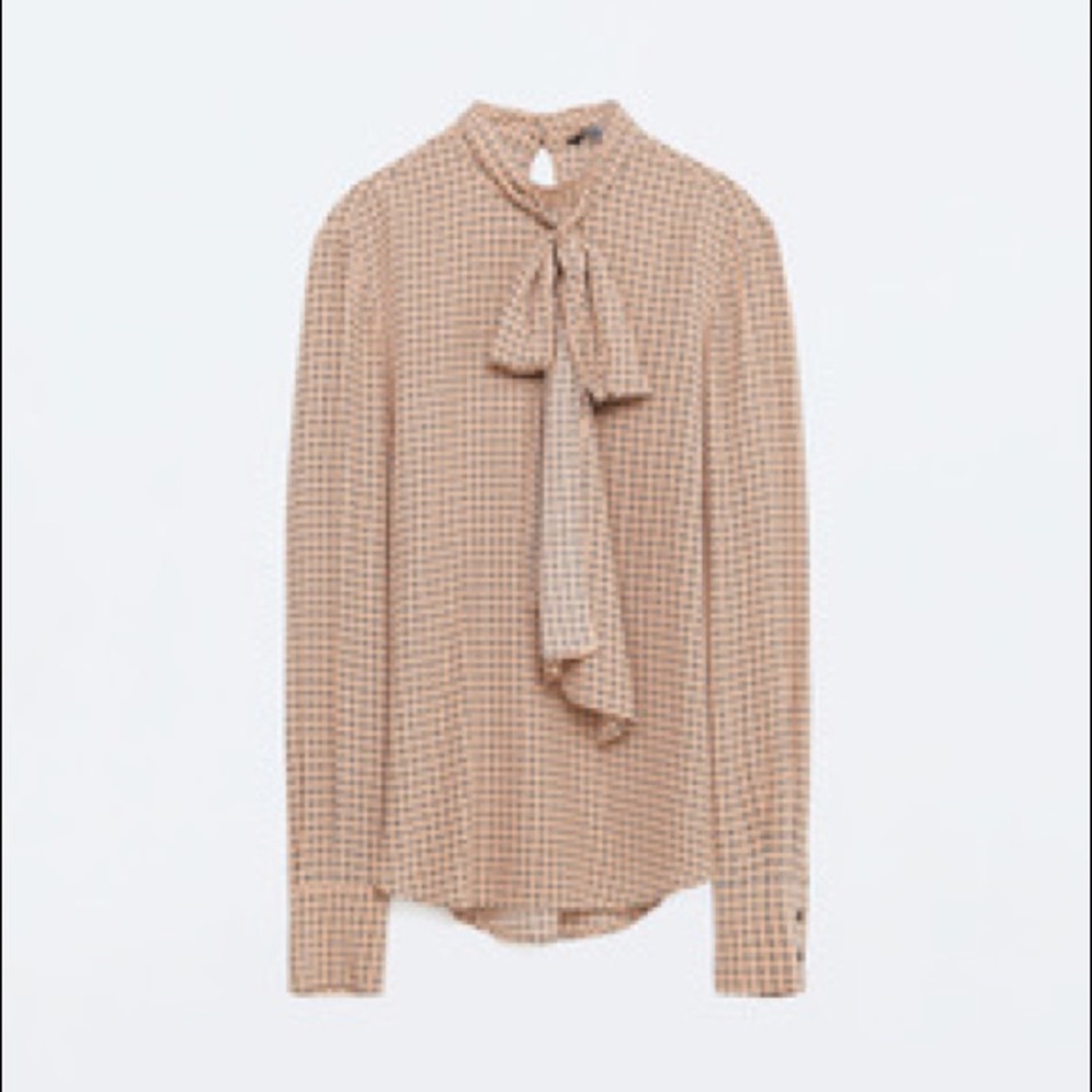 Blush Blouse with Neck Tie